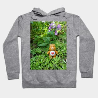 Care bear in the garden Hoodie